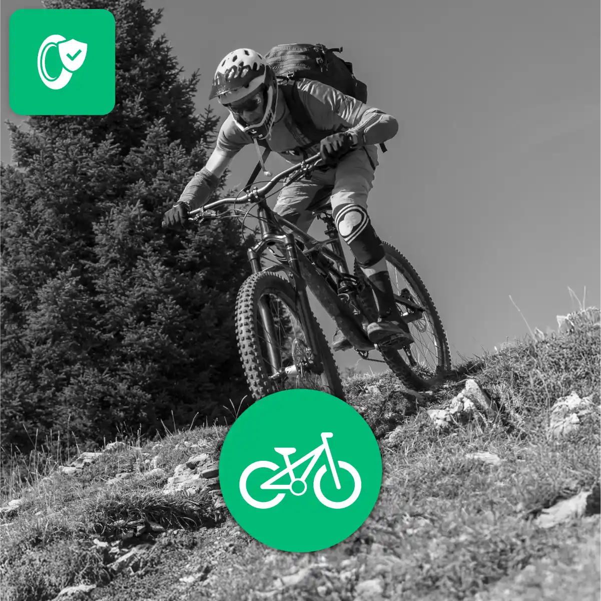 Schlauch 50 622 etrto