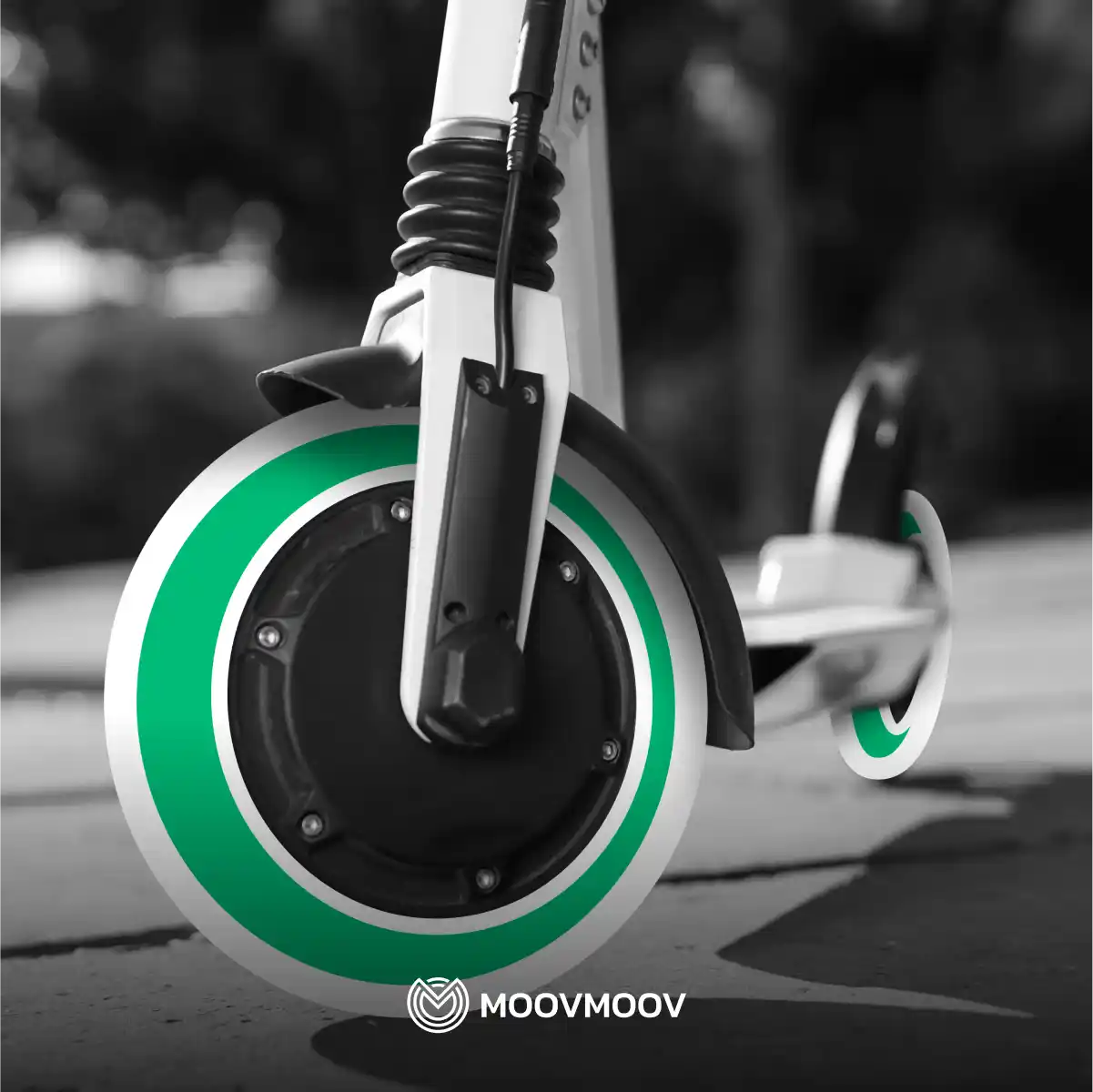 Schlauch mit abgewinkeltem Ventil Roller 200 x 50